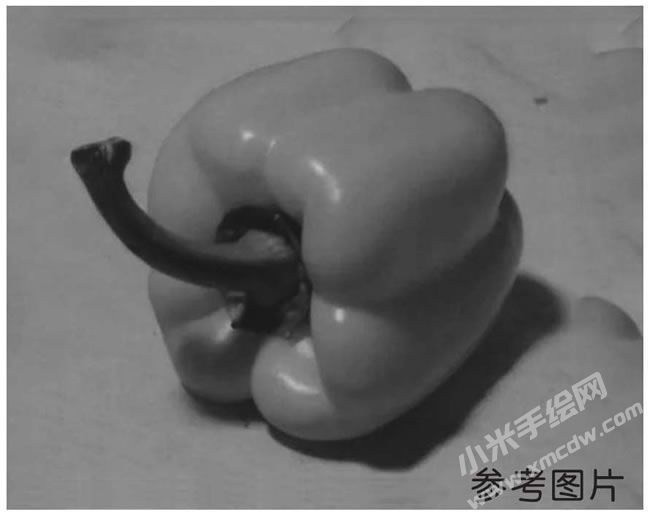素描彩椒參考圖片.jpg