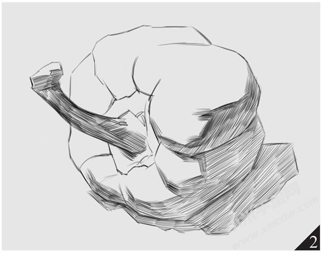 素描彩椒的畫(huà)法步驟圖示02.jpg