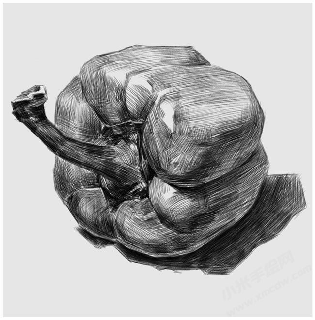 素描彩椒的畫(huà)法步驟圖示04.jpg
