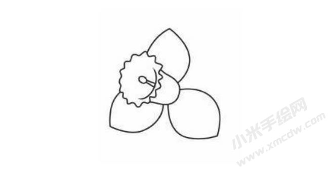 水仙花幼兒簡(jiǎn)筆畫分步繪制圖示03.jpg