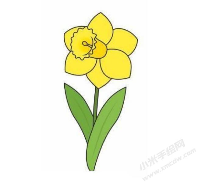 水仙花幼兒簡(jiǎn)筆畫分步繪制圖示06.jpg