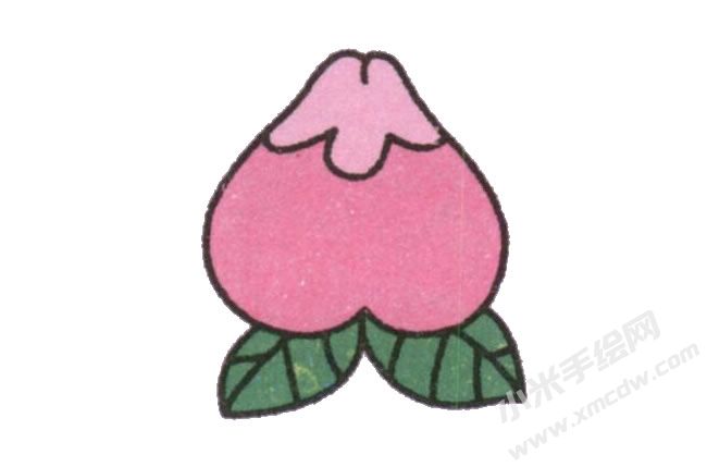 桃子幼兒簡(jiǎn)筆畫繪制步驟圖示06.jpg