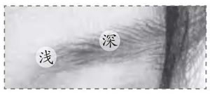 男生素描眉毛細節(jié).jpg