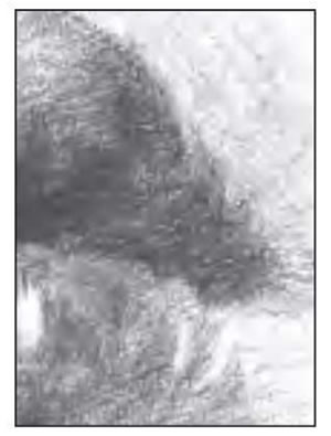 人物嘴角素描細(xì)節(jié).jpg