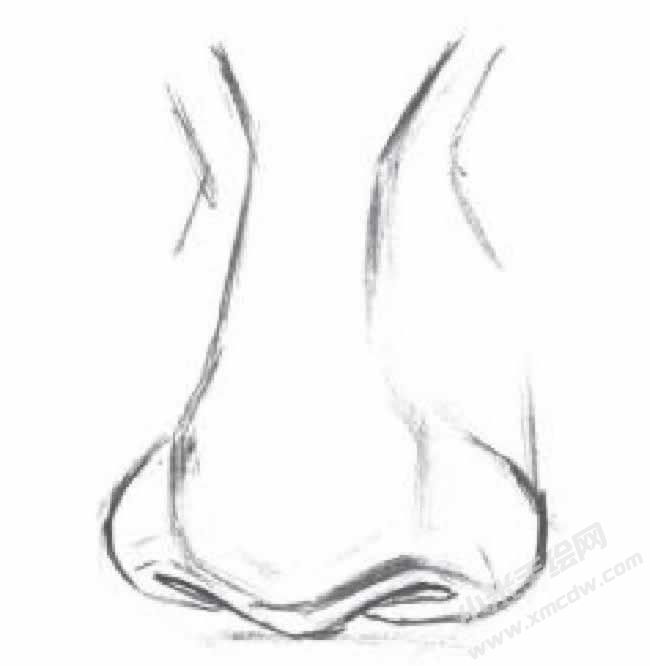 人物鼻子的素描畫法步驟圖示02.jpg