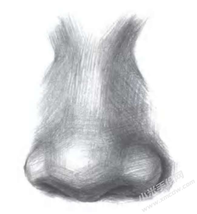 人物鼻子的素描畫法步驟圖示05.jpg