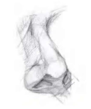 側(cè)面鼻子素描步驟01.jpg