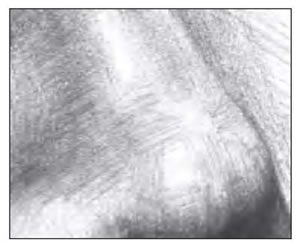 素描鼻梁細(xì)節(jié).jpg