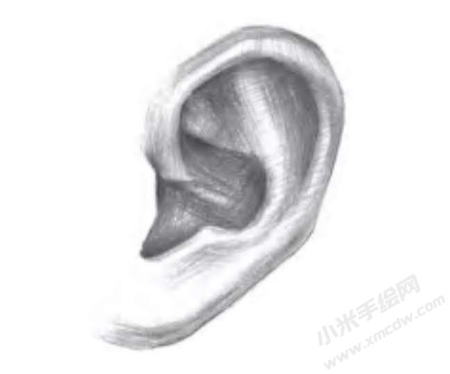 人物耳朵的素描畫法步驟圖示05.jpg