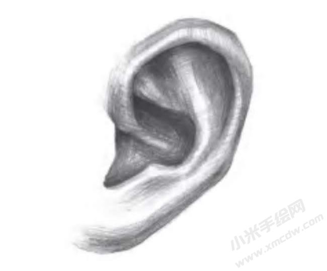 人物耳朵的素描畫法步驟圖示06.jpg