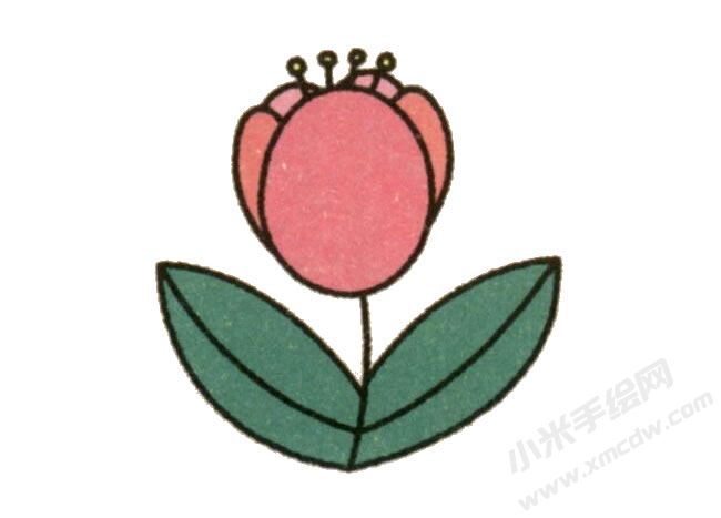 簡筆畫郁金香畫法步驟圖示06.jpg