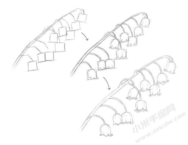 鈴蘭花素描畫法步驟圖示01.jpg