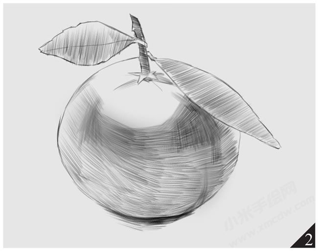 橘子素描畫法步驟圖示02.jpg