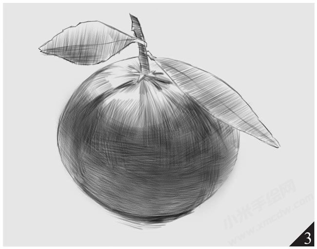 橘子素描畫法步驟圖示03.jpg