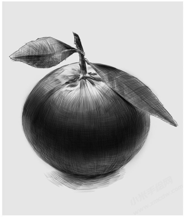 橘子素描畫法步驟圖示04.jpg