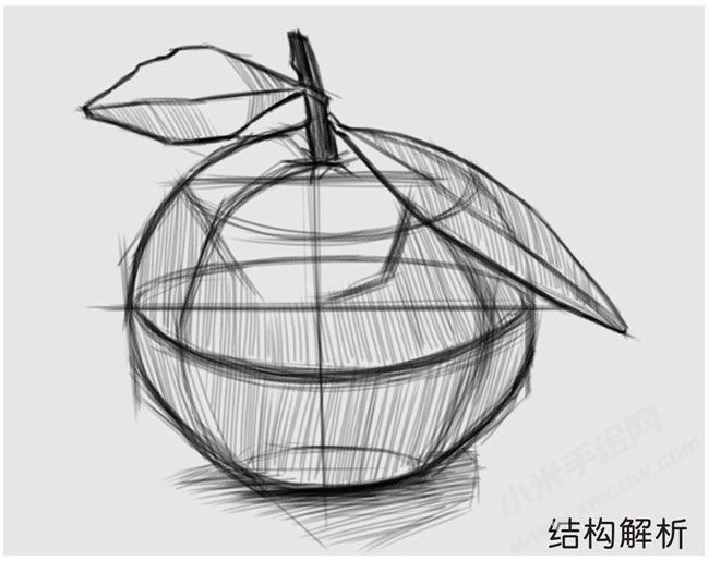 橘子素描結(jié)構(gòu)解析.jpg