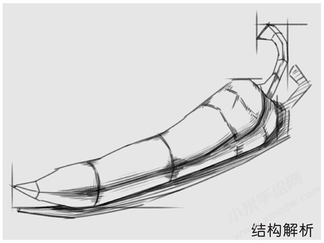 辣椒素描結(jié)構(gòu)解析.jpg