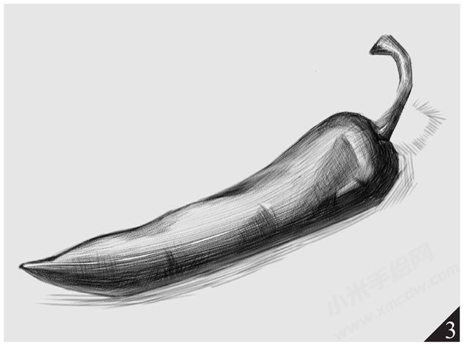 辣椒的素描畫法步驟圖示03.jpg