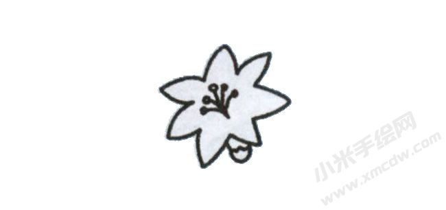 簡(jiǎn)筆畫百合花畫法步驟圖示03.jpg