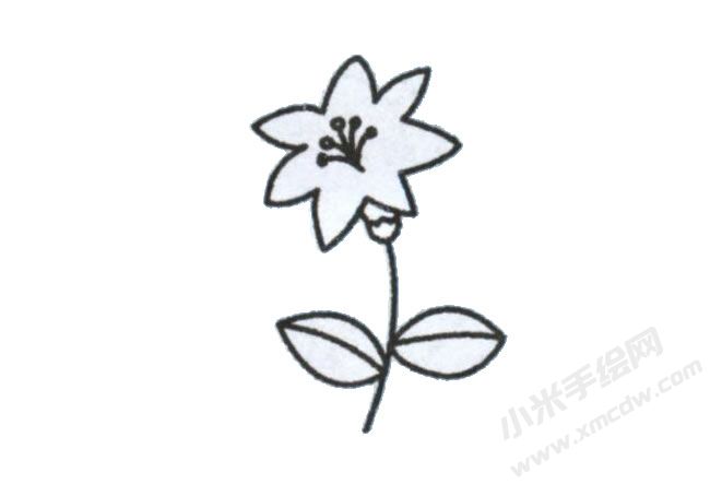 簡(jiǎn)筆畫百合花畫法步驟圖示04.jpg