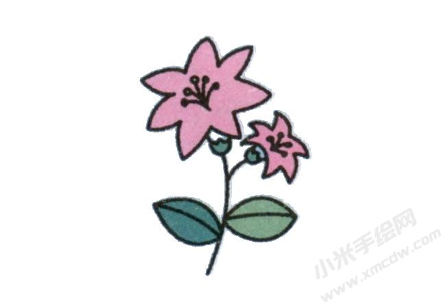 簡(jiǎn)筆畫百合花畫法步驟圖示06.jpg