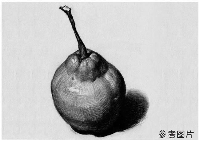 梨的素描參考圖片.jpg