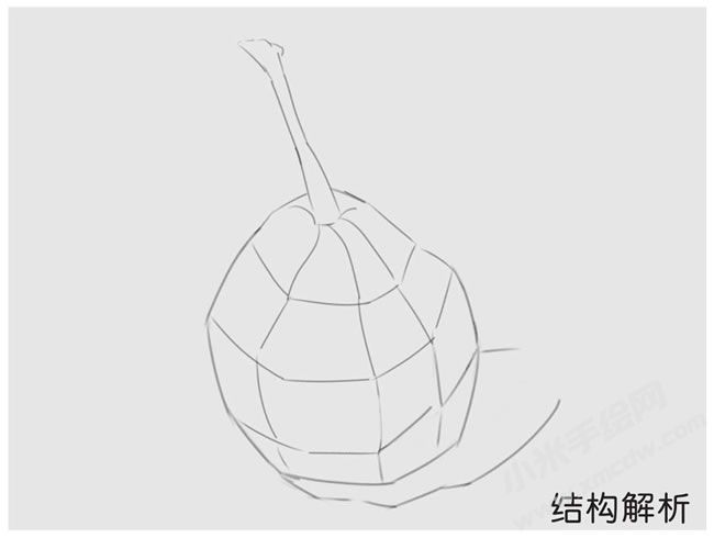 梨的素描結(jié)構(gòu)解析.jpg