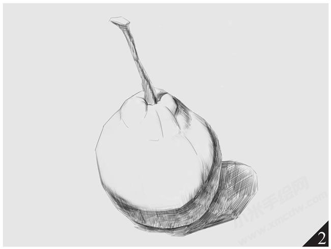 梨的素描畫法步驟圖示02.jpg