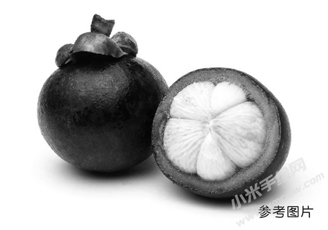 山竹素描參考圖片.jpg
