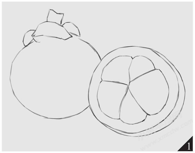 山竹素描畫法步驟圖示01.jpg