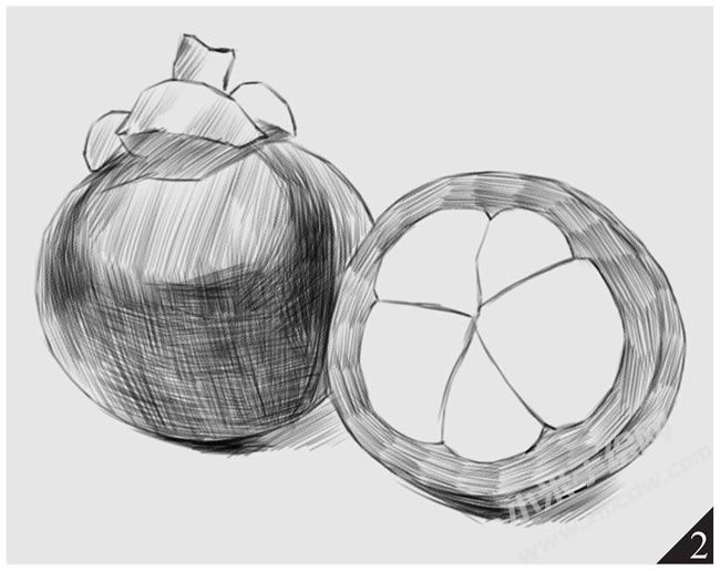 山竹素描畫法步驟圖示02.jpg