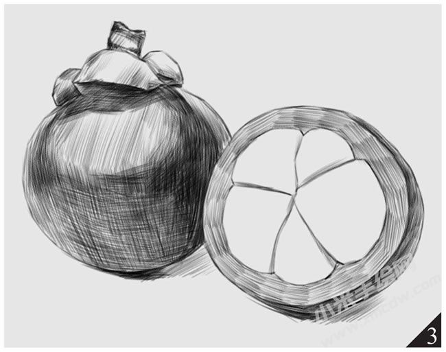 山竹素描畫法步驟圖示03.jpg
