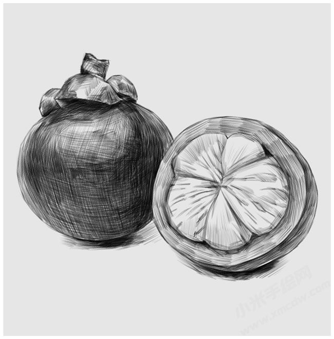山竹素描畫法步驟圖示04.jpg