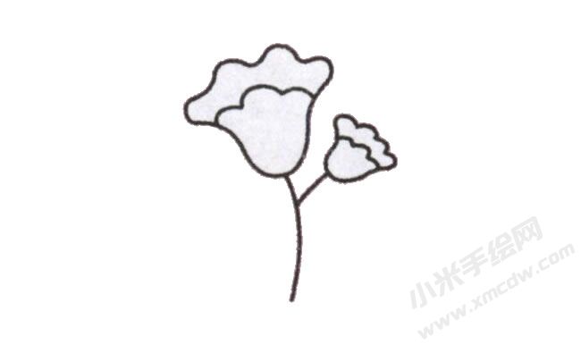 簡(jiǎn)筆畫雞冠花畫法步驟圖示04.jpg