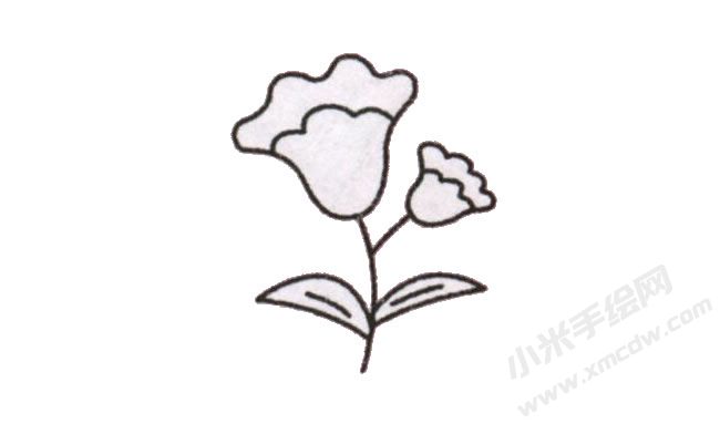 簡(jiǎn)筆畫雞冠花畫法步驟圖示05.jpg
