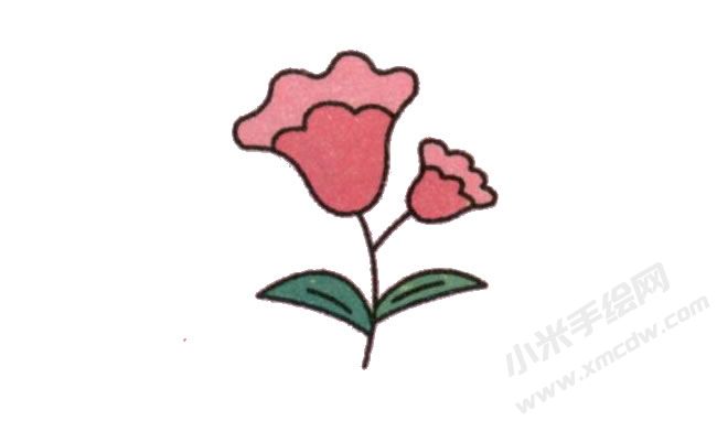 簡(jiǎn)筆畫雞冠花畫法步驟圖示06.jpg