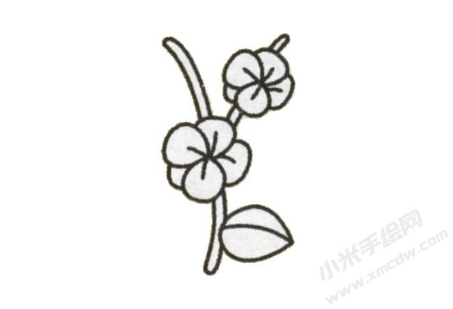 簡筆畫梅花畫法步驟圖示04.jpg