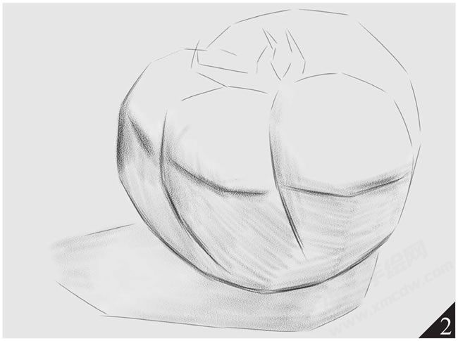 西紅柿素描畫法步驟圖示02.jpg