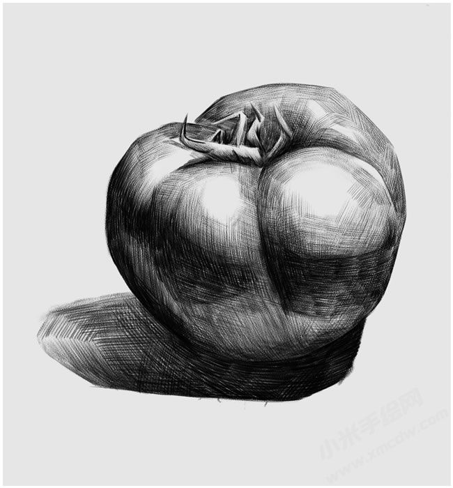 西紅柿素描畫法步驟圖示04.jpg