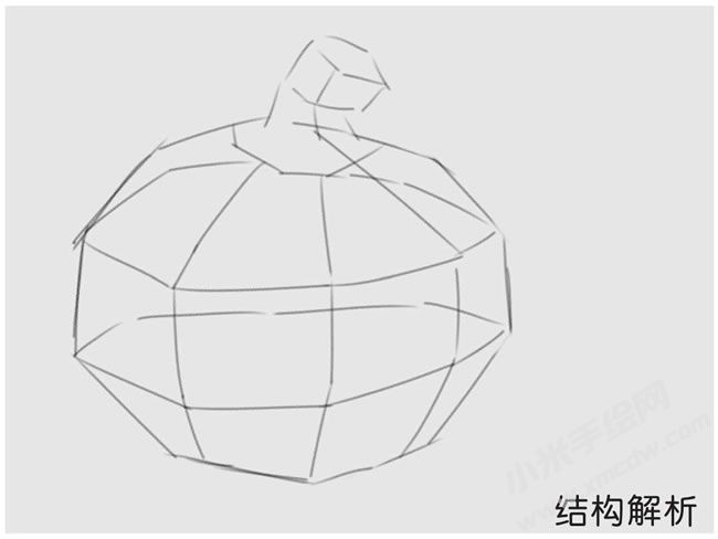 洋蔥素描結(jié)構(gòu)解析.jpg
