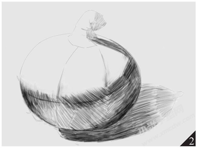洋蔥素描畫(huà)法步驟圖示02.jpg