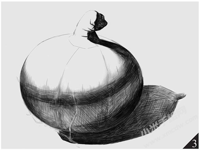 洋蔥素描畫(huà)法步驟圖示03.jpg