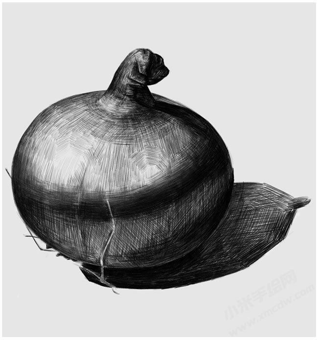 洋蔥素描畫(huà)法步驟圖示04.jpg