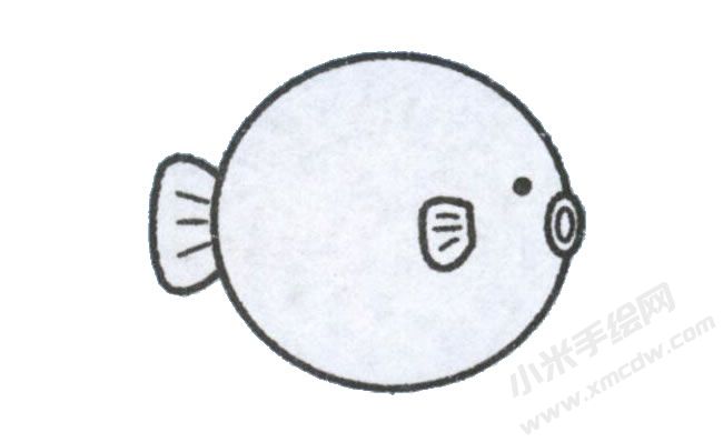 河豚幼兒簡(jiǎn)筆畫(huà)步驟圖示04.jpg