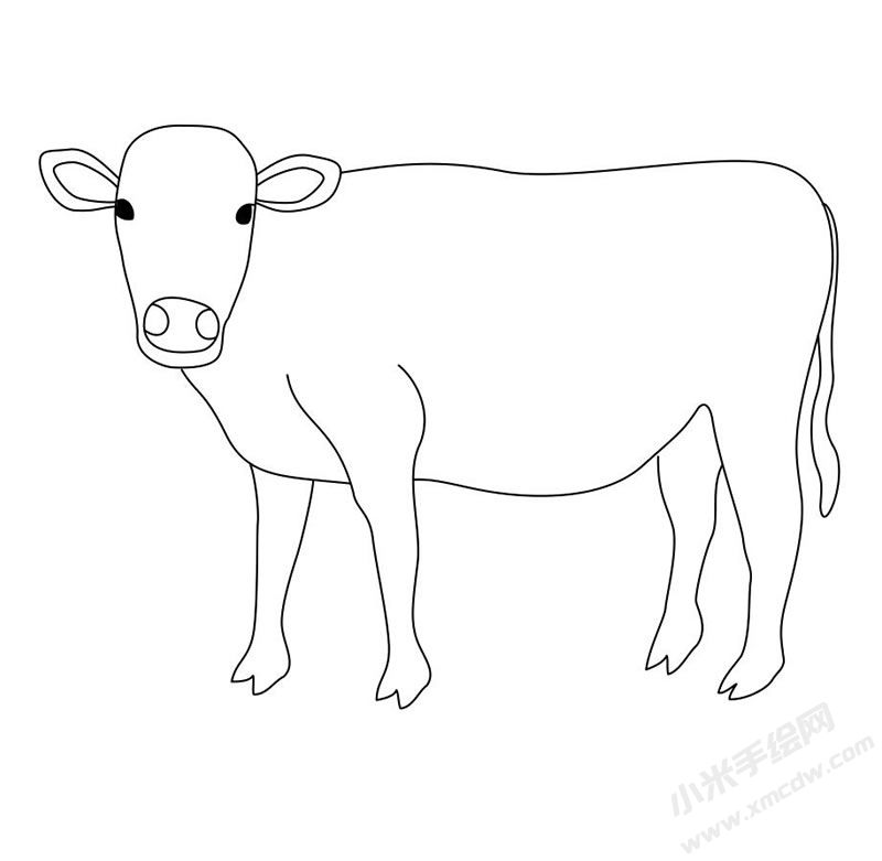 黃牛簡(jiǎn)筆畫圖片