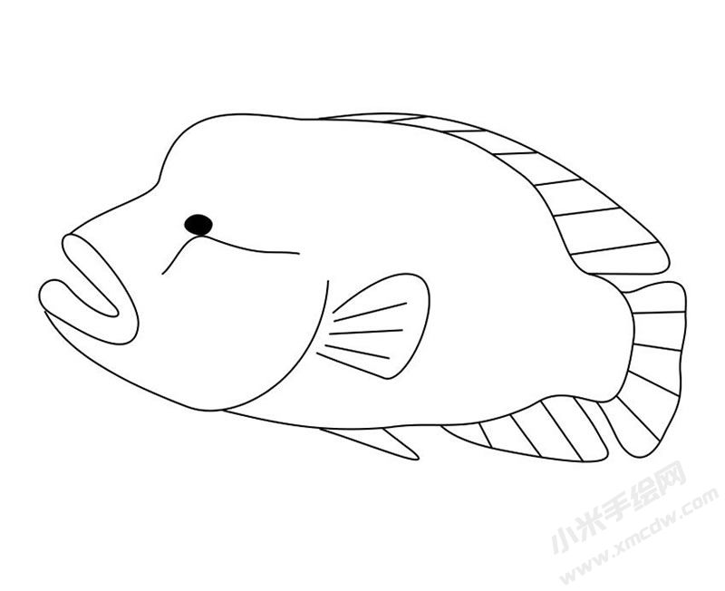 羅漢魚簡(jiǎn)筆畫圖片