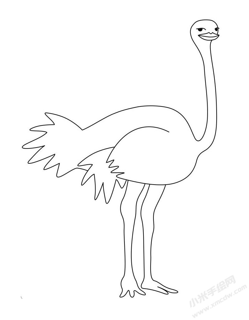 鴕鳥(niǎo)簡(jiǎn)筆畫(huà)圖片