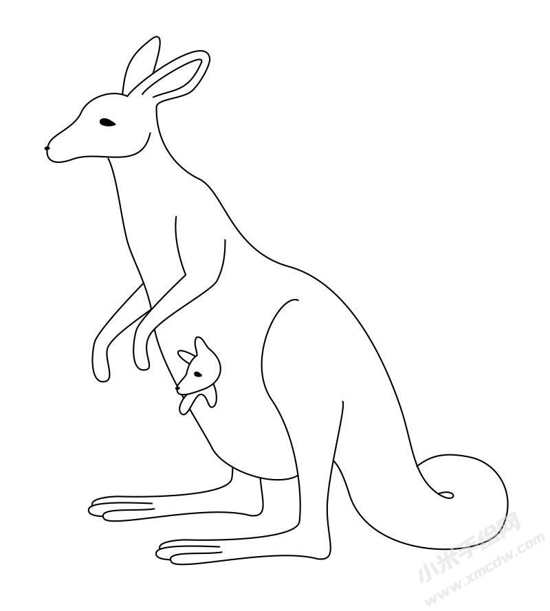 袋鼠簡(jiǎn)筆畫圖片高清大圖.jpg