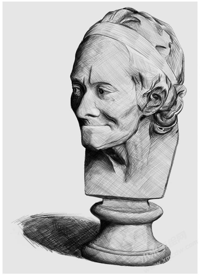 伏爾泰素描圖片.jpg