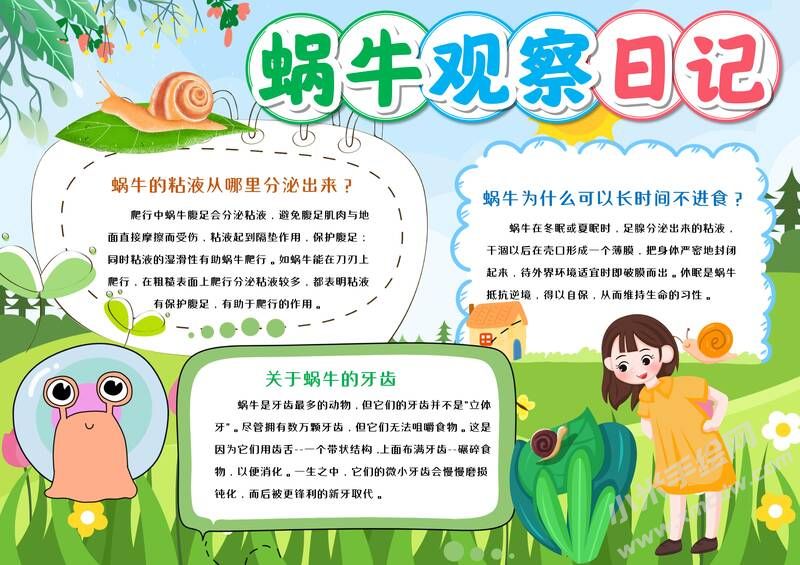 蝸牛觀察日記手抄報(bào)模板有字版（第一版）.jpg
